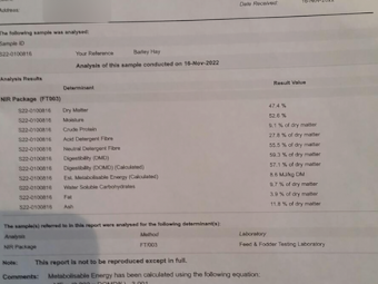 Barley Rye Hay 8x4x3 Bales (New Season 22/23)