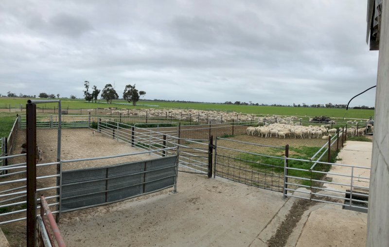 Share Farm or Lease Opportunity