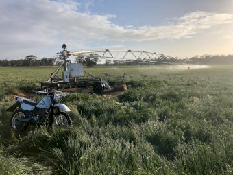 Share Farm or Lease Opportunity