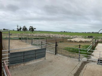 Share Farm or Lease Opportunity