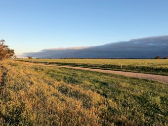 Share Farm or Lease Opportunity