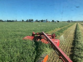 Share Farm or Lease Opportunity