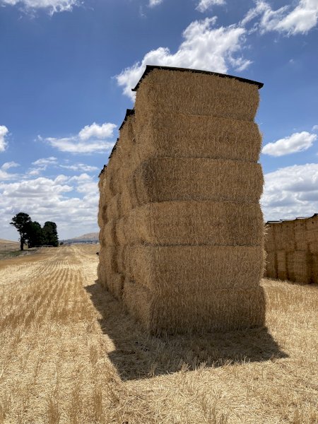 30-40mt Wheaten Straw 8x4x3 Bales (New Season 22/23)