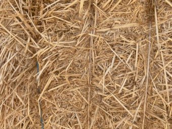 30-40mt Wheaten Straw 8x4x3 Bales (New Season 22/23)
