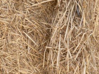 30-40mt Wheaten Straw 8x4x3 Bales (New Season 22/23)