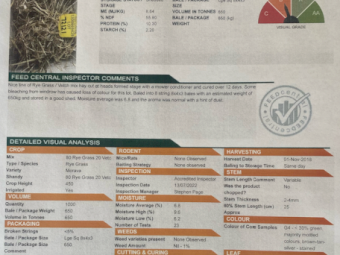 250mt Pasture Hay 650-700kg 8x4x3 Bales