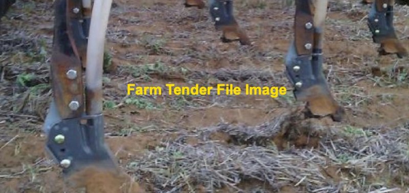 Rootboot Seeding Points