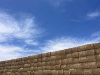 Wheaten Straw 8x4x3 Bales