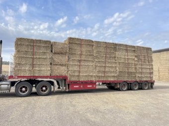 500mt Canola/Ryegrass Hay 8x4x3 Bales