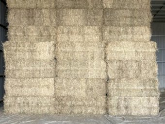 500mt Canola/Ryegrass Hay 8x4x3 Bales