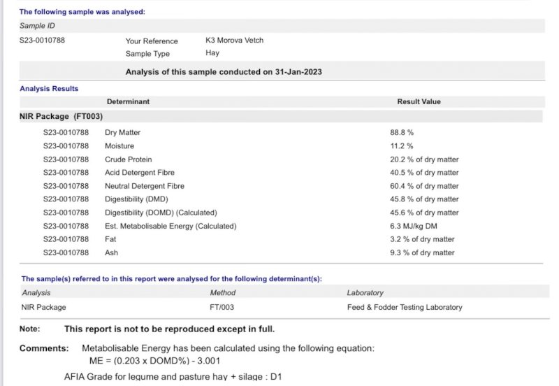 Vetch Hay 8x4x3 Bales