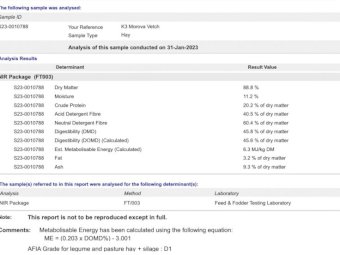 Vetch Hay 8x4x3 Bales