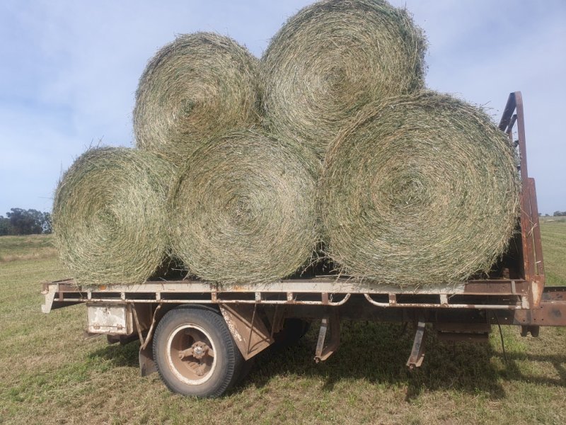 100 5x4 Lucerne Rolls