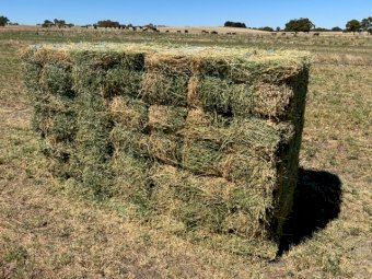 Irrigated Lucerne Hay Small Bales