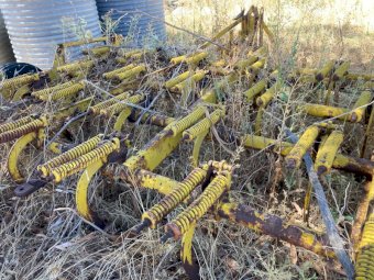 21 Tyne Connor Shea Scarifer