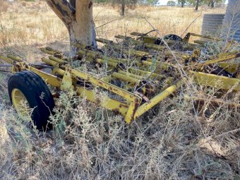 21 Tyne Connor Shea Scarifer