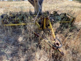 21 Tyne Connor Shea Scarifer