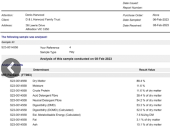 200mt Clover & Rye Hay 550kg 8x4x3 Bales