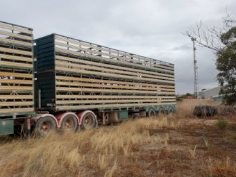 1 Set of 1998 Byrne B Double Stock Crates