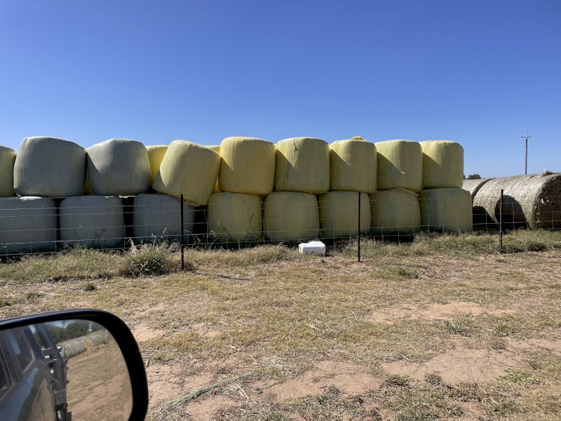 Oaten Silage Rolls
