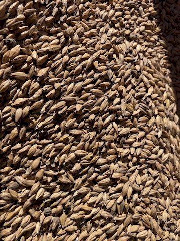 40t  BAR 3 Feed Barley