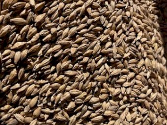 40t  BAR 3 Feed Barley