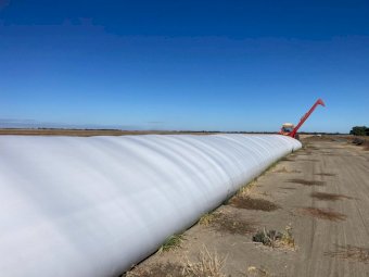 40t  BAR 3 Feed Barley