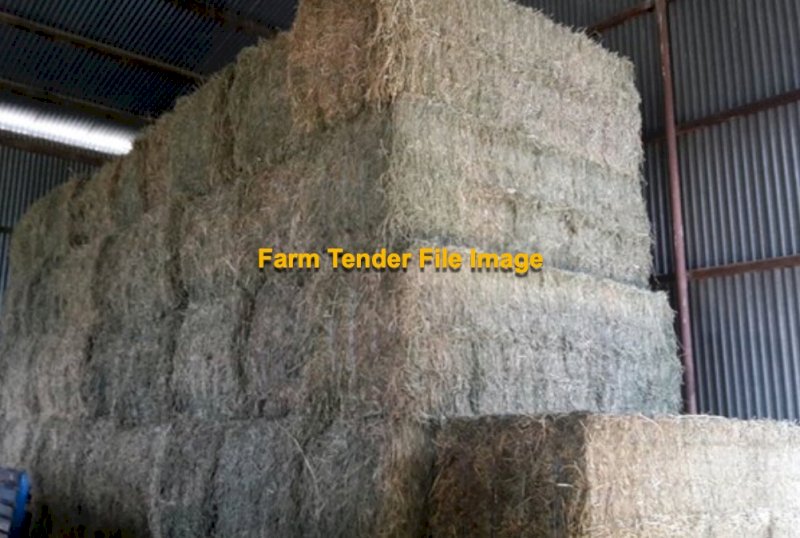 WANTED Lucerne Hay Large Squares
