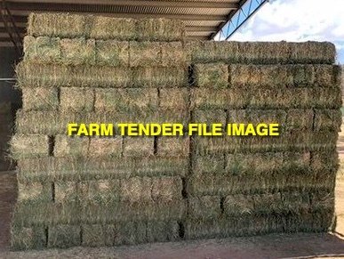 Lucerne  Haylage small bales in packs of 16