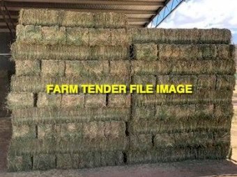 Lucerne  Haylage small bales in packs of 16
