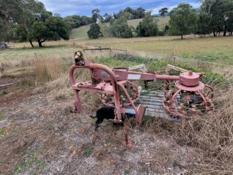 Sitrex Combo 3 m Tedder/Hay Rake
