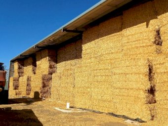 200m/t Shedded 22/23 Season Oaten Hay