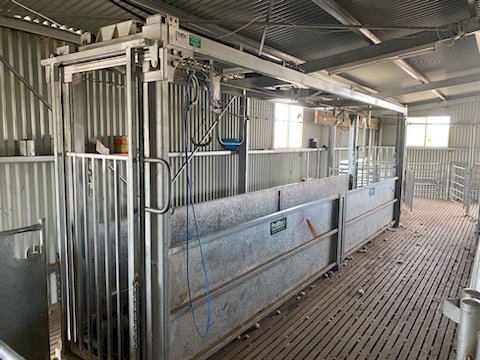 Under Auction - (A220) 2019 ProWay Bulk Handler 