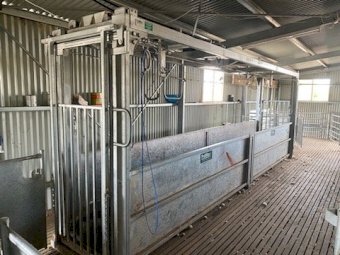 Under Auction - (A220) 2019 ProWay Bulk Handler 