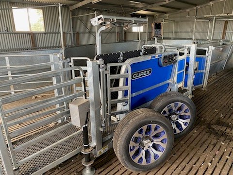 Under Auction - (A220) 2022 Clipex Sheep handler Contractor Model 