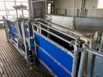 Under Auction - (A220) 2022 Clipex Sheep handler Contractor Model 