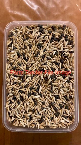 Vetch oat seed mix