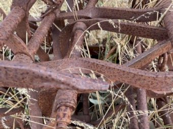 John Shearer 15 Leaf Harrows