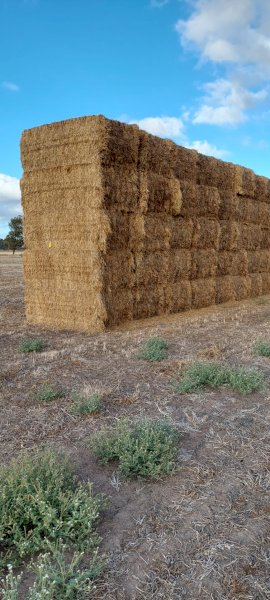 23' Season Balansa Clover 8x4x3 Bales