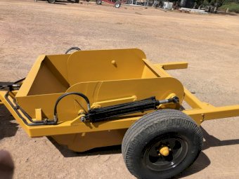 Under Auction - (A221) Golden Scoop 