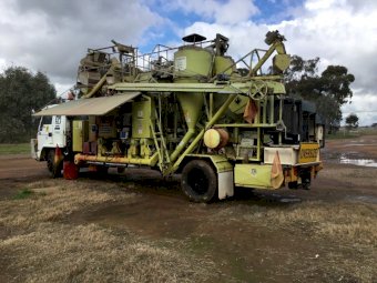 Hannaford 10 tph combination seed cleaner