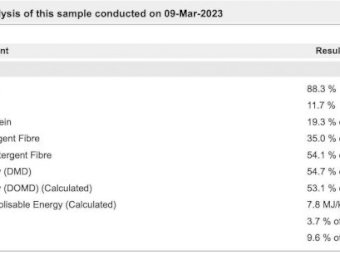 90mt Vetch Hay 620kg 8x4x3 Bales (18/19 Season)
