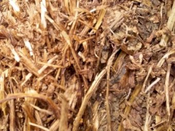 90mt Vetch Hay 620kg 8x4x3 Bales (18/19 Season)