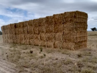 125mt Oaten Hay 600kg 8x4x3 Bales