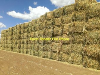 220mt Oaten Hay 480-500kg 8x4x3 Bales