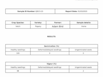 44mt Popany Vetch Seed