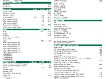 Low NDF High Protein Vetch Hay