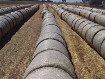207MT Oaten Hay Round Bales