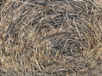 207MT Oaten Hay Round Bales