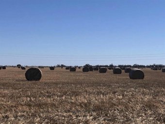 207MT Oaten Hay Round Bales